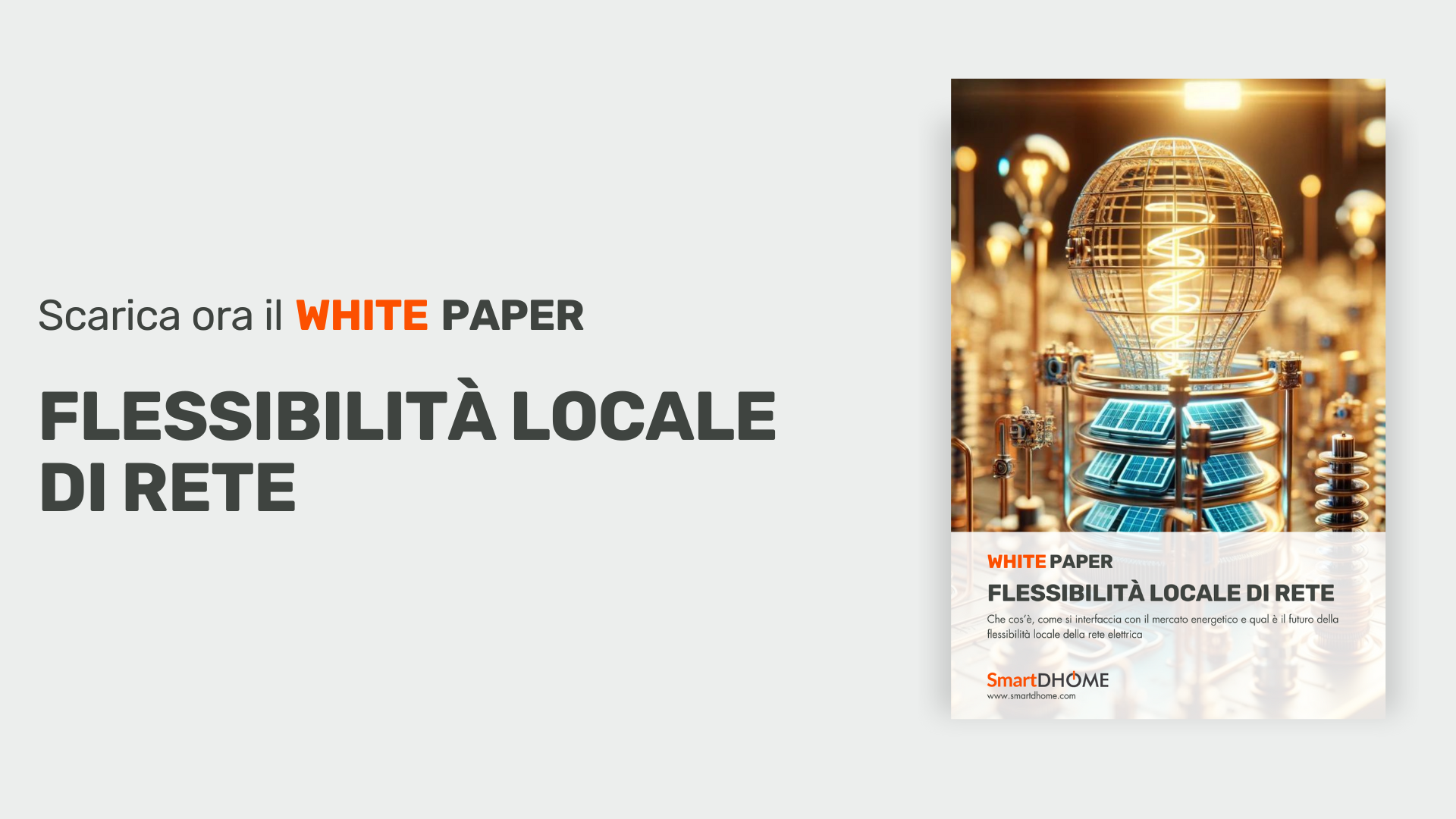 white paper flessibilità locale di rete